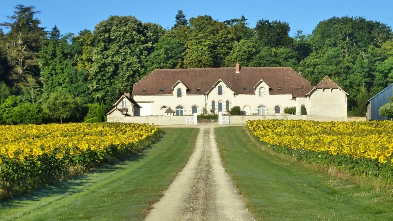 Domaine De La Maison Neuve Villa Saint-Jean-Saint-Germain Exterior foto